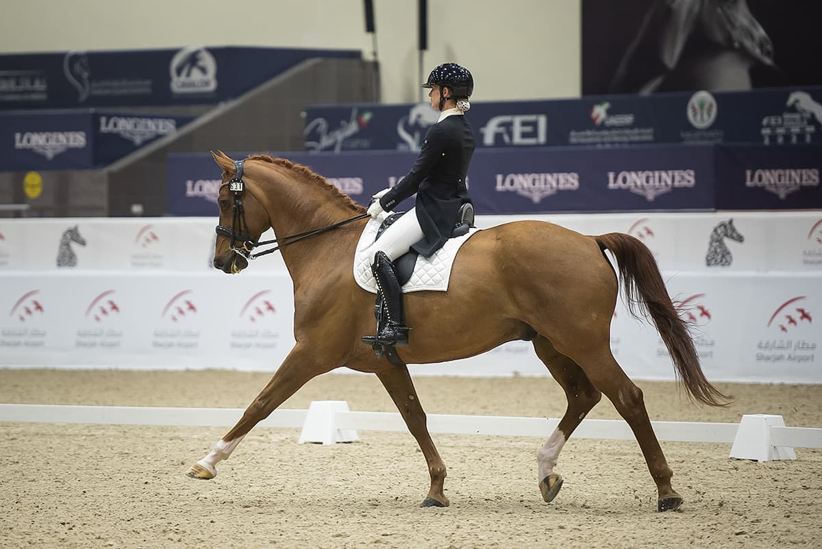 SHARJAH DRESSAGE COMPETITIONS - 1