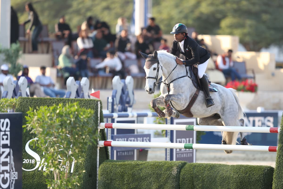 Show Jumping