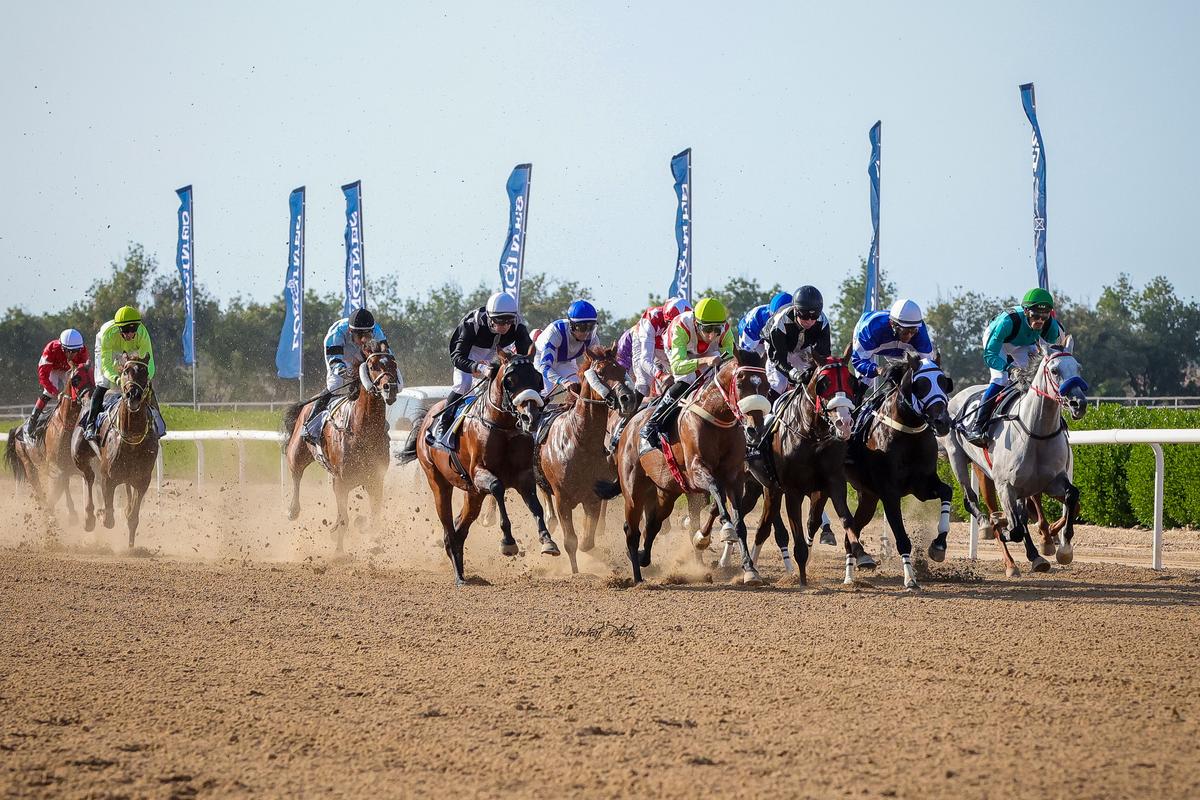 1st SHARJAH LONGINES RACECOURSE