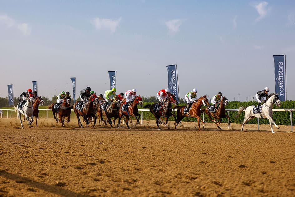 H.H. The Ruler of Sharjah Cup