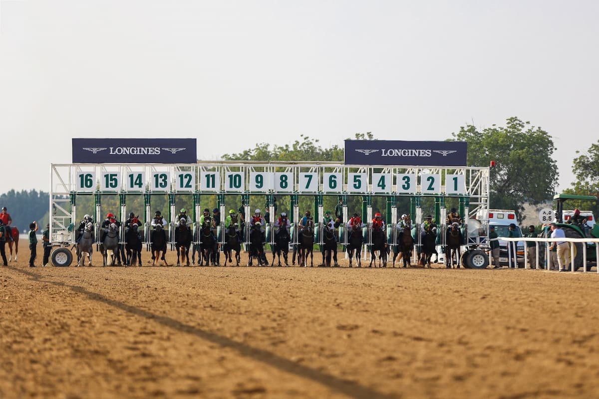 Sheikh Hamdan bin Rashid Al Maktoum Cup