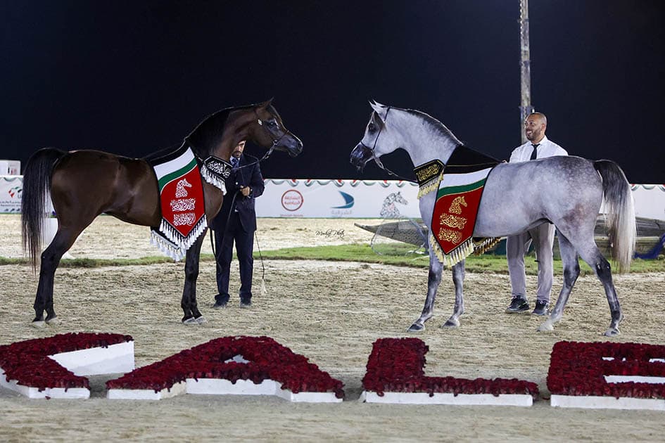 The 6th Starjah Kalba Arabian Horse Festival