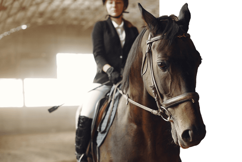 Riding School