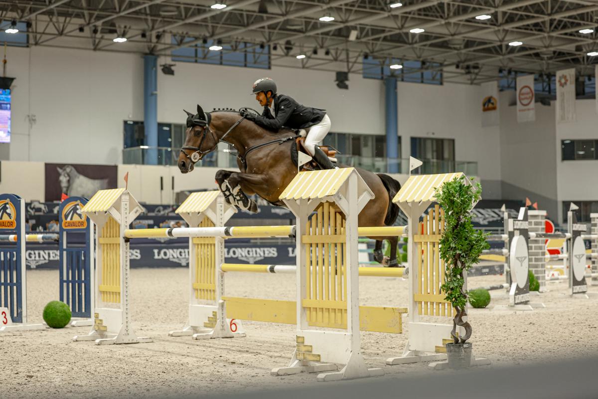 Show Jumping