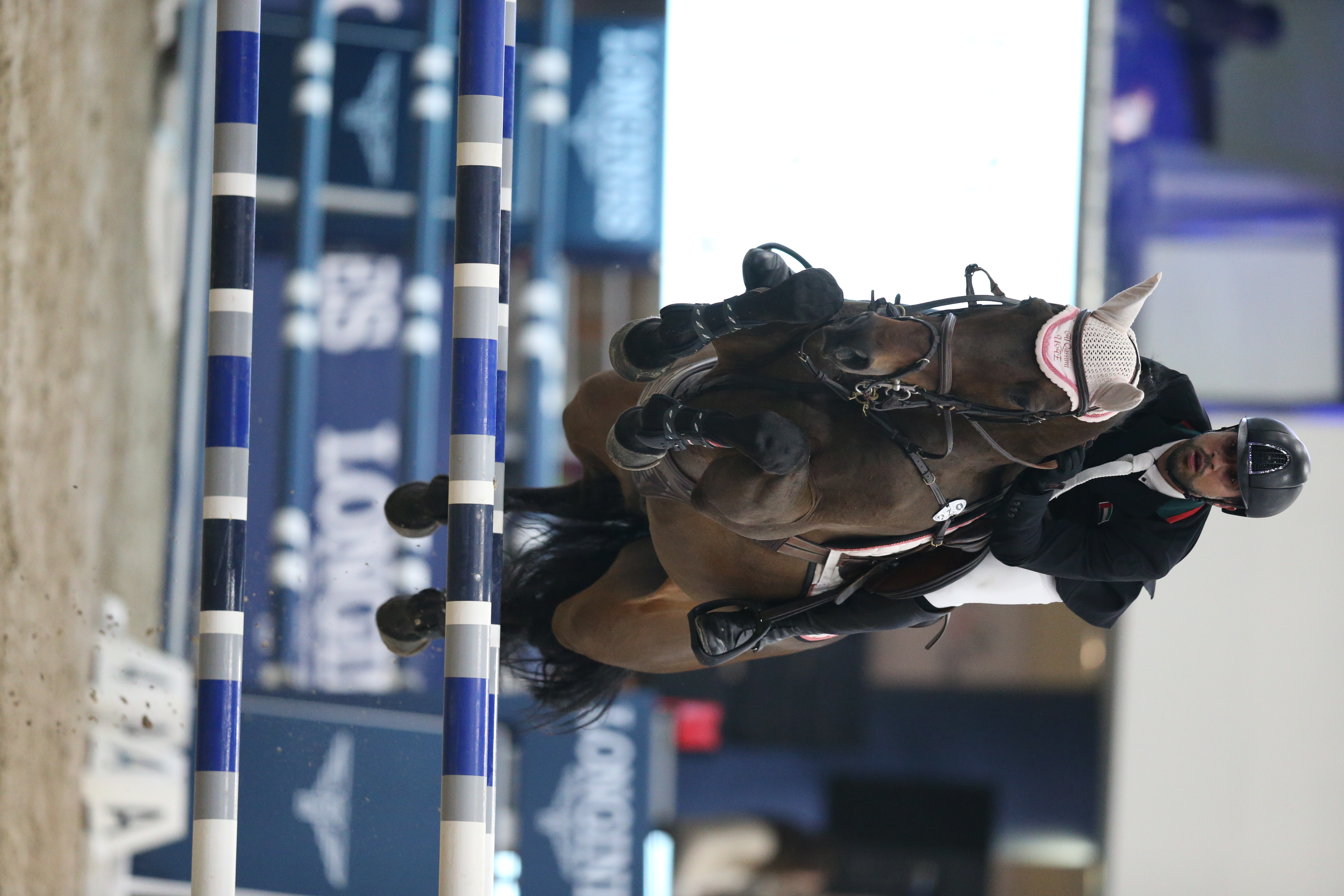 Show Jumping