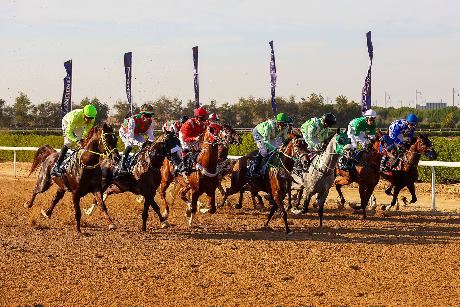 Badran Baynounah” is crowned champion of the Sharjah Ruler’s Cup