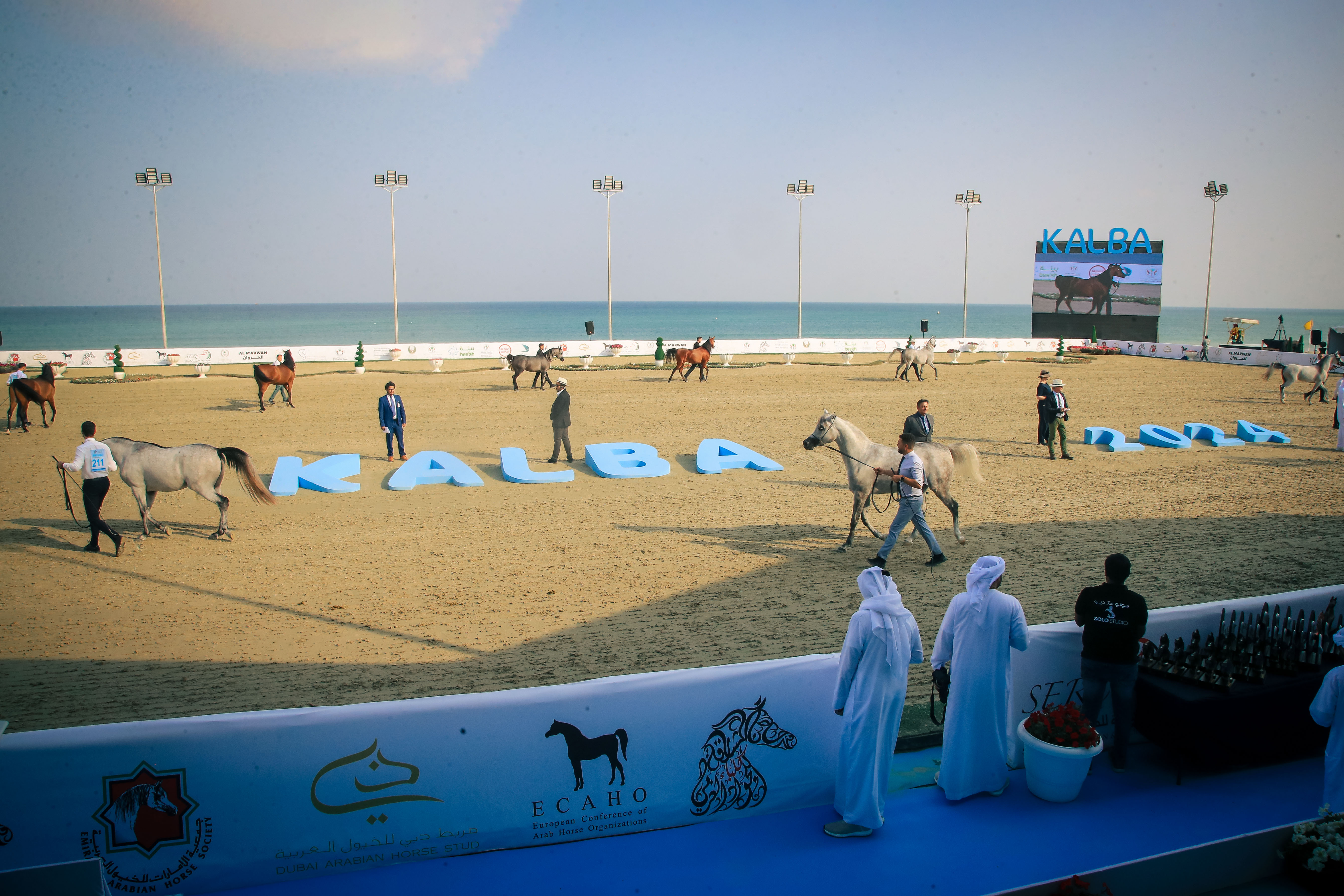 The 7th Sharjah Kalba Arabian Horse Festival
