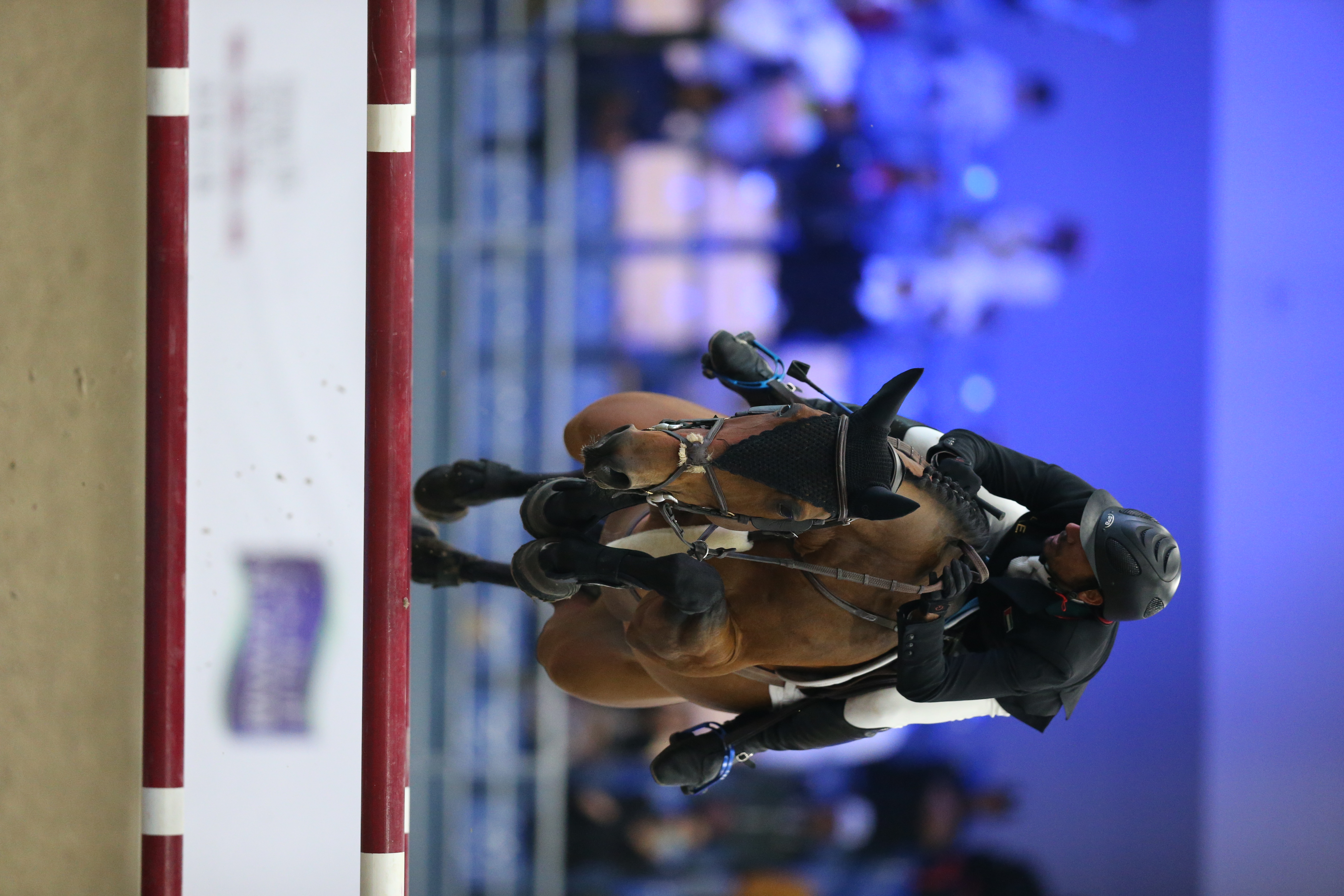 Show Jumping