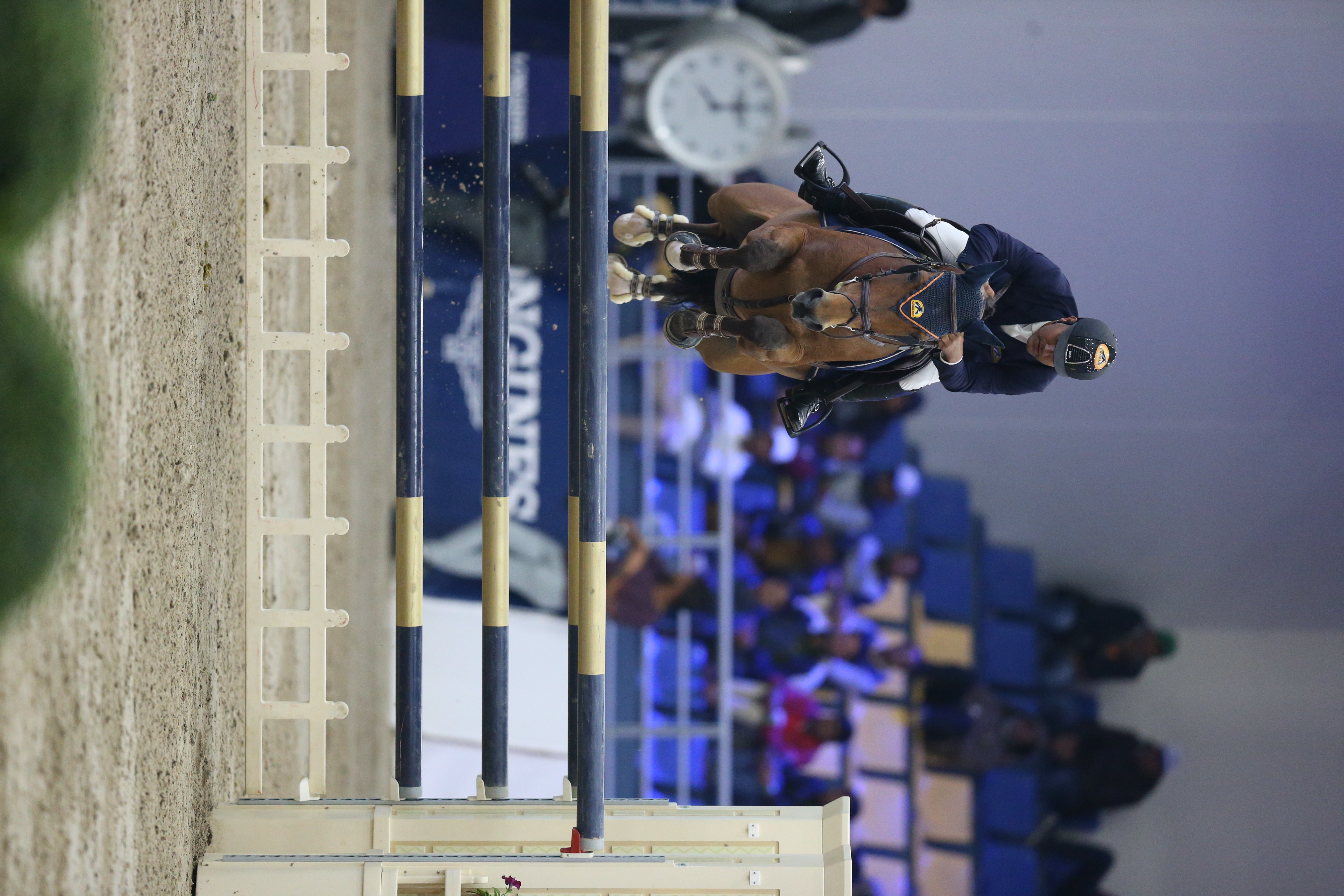 Show Jumping